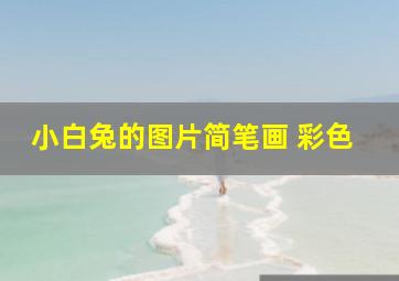 小白兔的图片简笔画 彩色